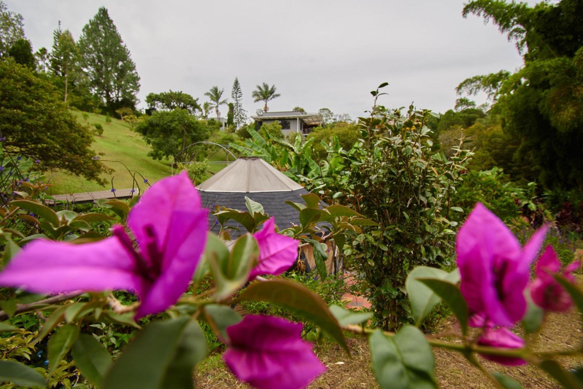 Kokumi By Bernalo Hotels Rionegro Ngoại thất bức ảnh